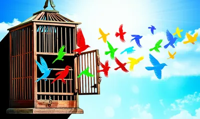 Illustration releasing - Image 1