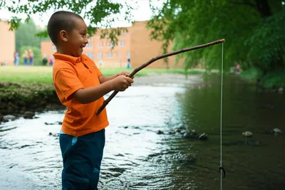 Illustration hookey - Image 1