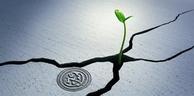 Illustration legalisation - Image 2