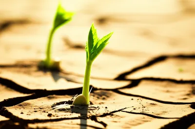 Illustration recovering - Image 1