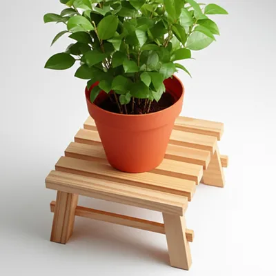 Illustration riser - Image 1