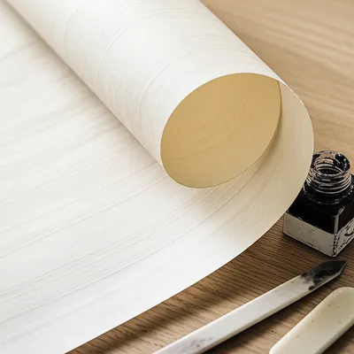 Illustration vellum - Image 1