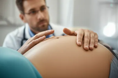 Illustration palp - Image 1