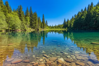 Illustration clearer - Image 1