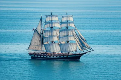 Illustration hulled - Image 1