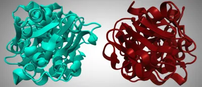 Illustration conformer - Image 1