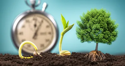 Illustration accelerators - Image 1