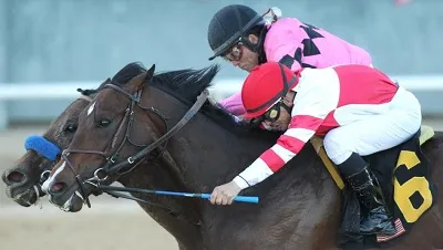 Illustration scrub - Image 2