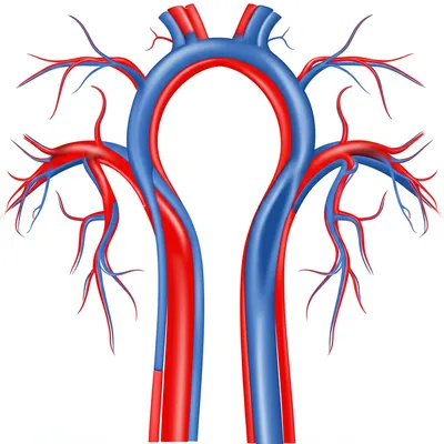 Illustration course - Image 1