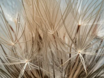 Illustration down - Image 1