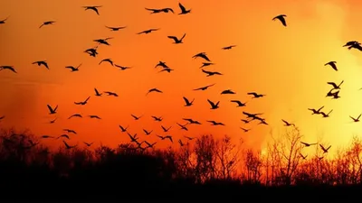 Illustration flights - Image 1