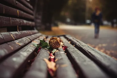 Illustration lingering