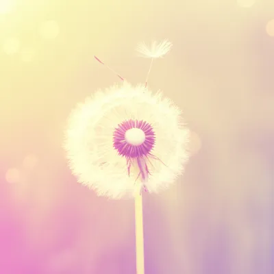 Illustration buoyancy - Image 1