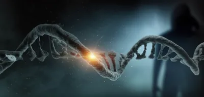 Illustration candidate - Image 1