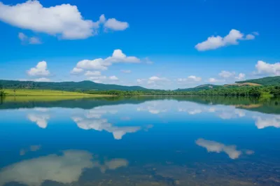 Illustration clearest - Image 1