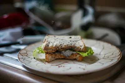 Illustration gross - Image 1