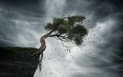 Hình ảnh minh họa opinions - Ảnh 1