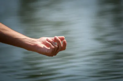 Illustration jerked - Image 1