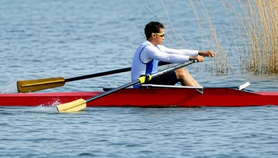 Illustration feathers - Image 1