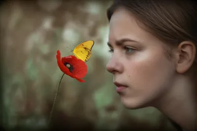 Illustration fixations - Image 1