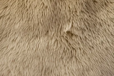 Illustration shearling - Image 1