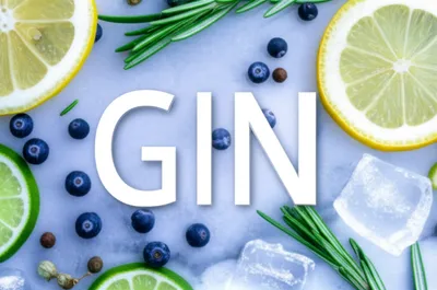 Illustration gin - Image 1