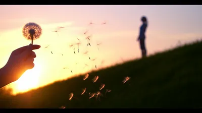 Illustration wished - Image 1