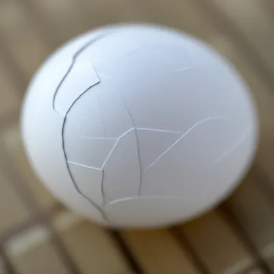 Hình ảnh minh họa springing - Ảnh 1