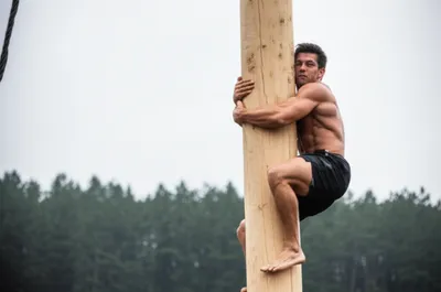 Illustration shinned - Image 1