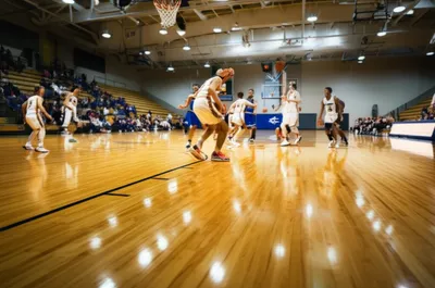 Illustration hardwood - Image 1