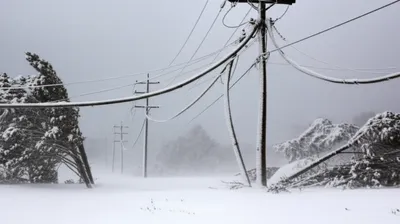 Illustration galloping - Image 1