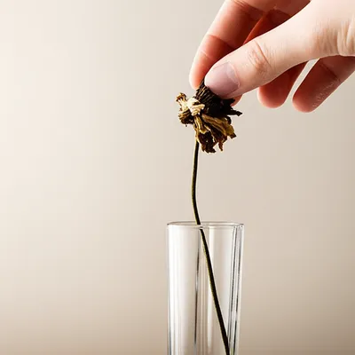 Illustration bating - Image 1