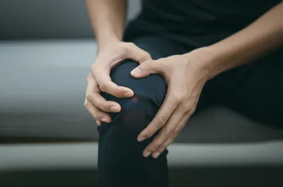 Illustration doe - Image 1