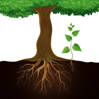 Illustration authentic