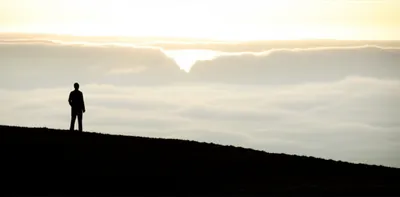 Illustration awaits - Image 1