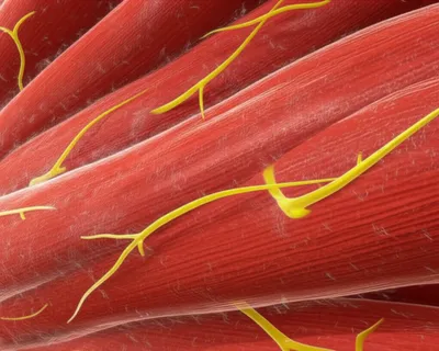 Illustration bundle - Image 1