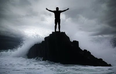 Illustration bays - Image 1