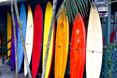 Illustration surfboards - Image 2