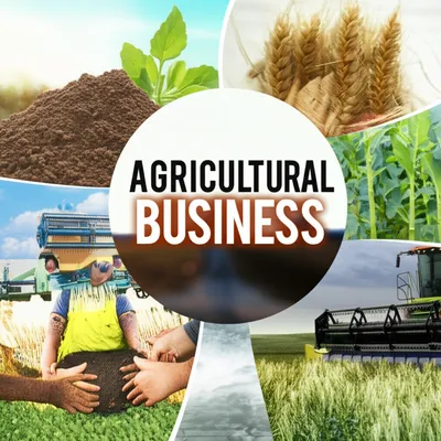 Illustration farming - Image 1