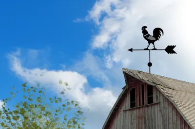 Illustration flies - Image 1