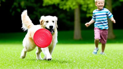 Illustration retrieved - Image 1