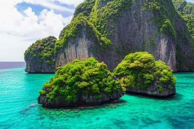 Illustration calves - Image 1