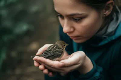 Illustration minding - Image 1