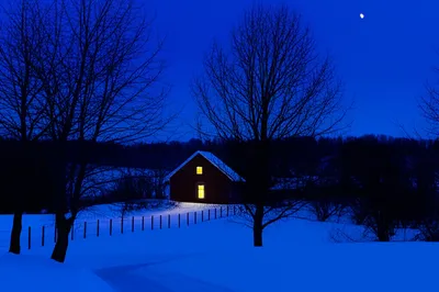 Illustration midwinter