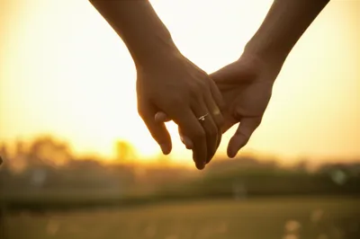 Illustration troth - Image 1