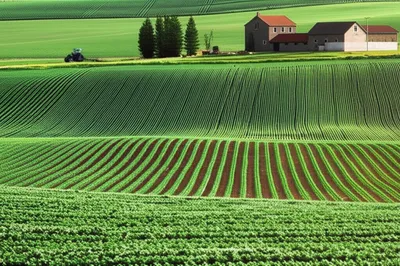 Illustration farms - Image 1