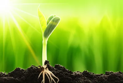 Illustration accelerates - Image 1