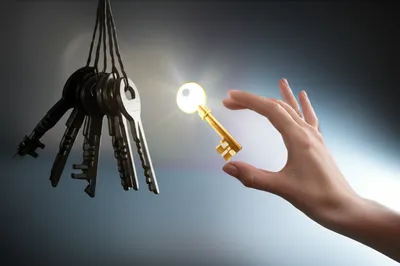 Illustration seize - Image 1