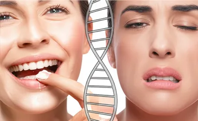 Illustration phenylthiocarbamide