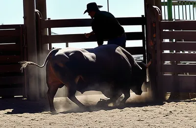 Illustration chute - Image 1